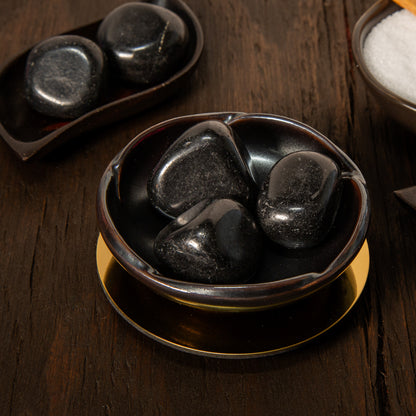 Shungite Tumble
