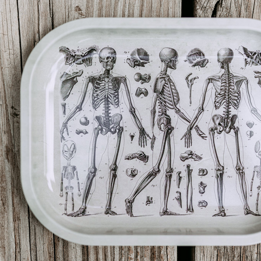 Grey Skeleton Altar Tray