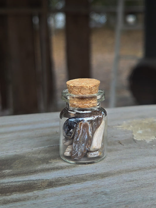 Petrified Wood Crystal Chip Jar