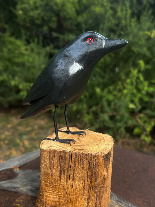 Small Wood Raven
