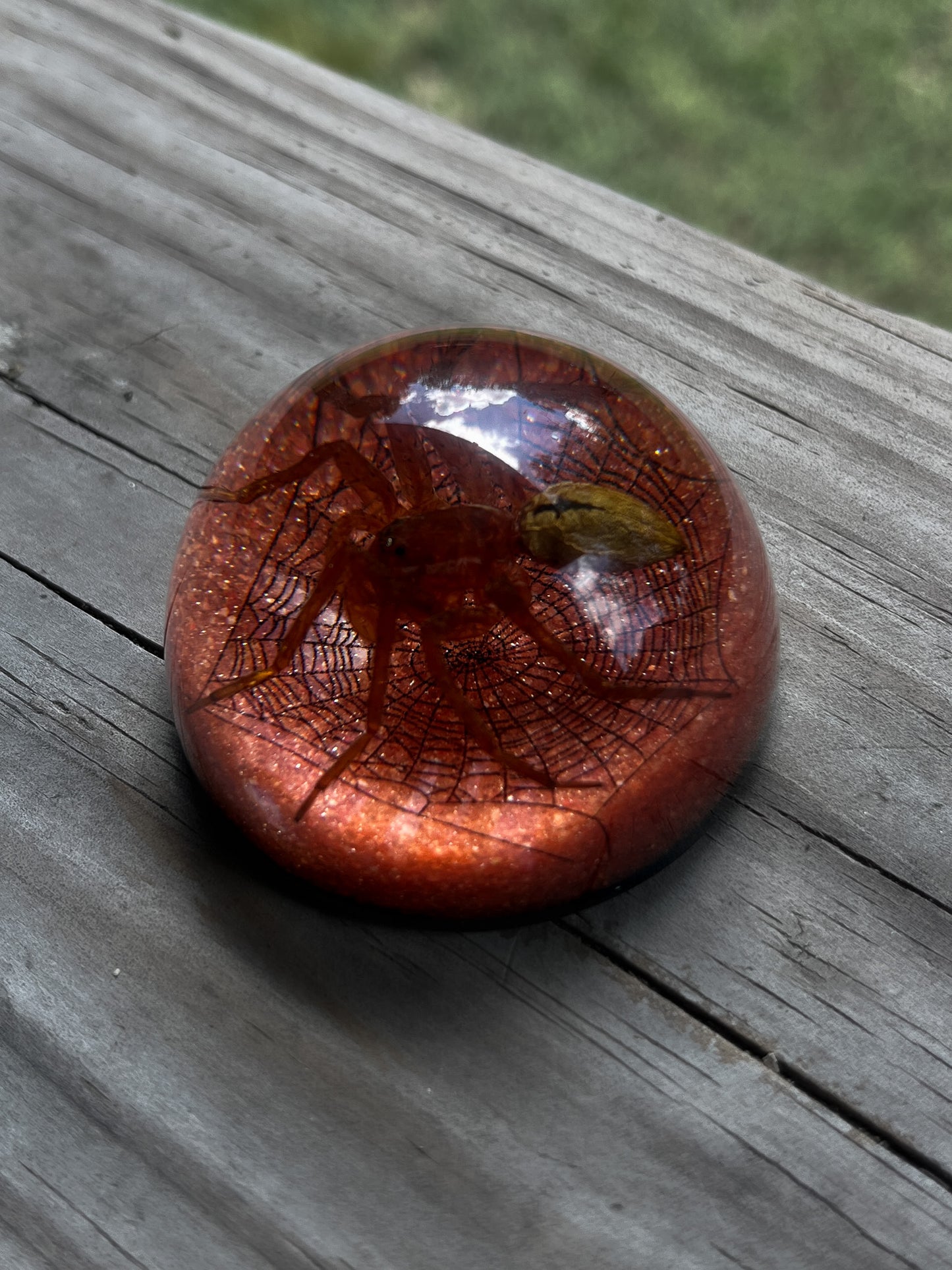 Spider Half Dome Paperweight Small