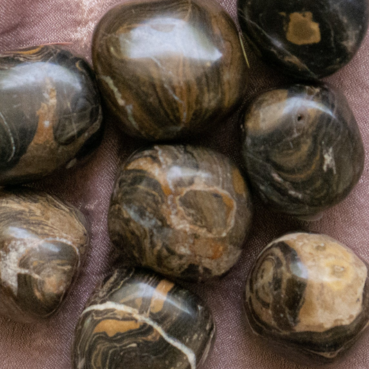 Stromatolite Tumble