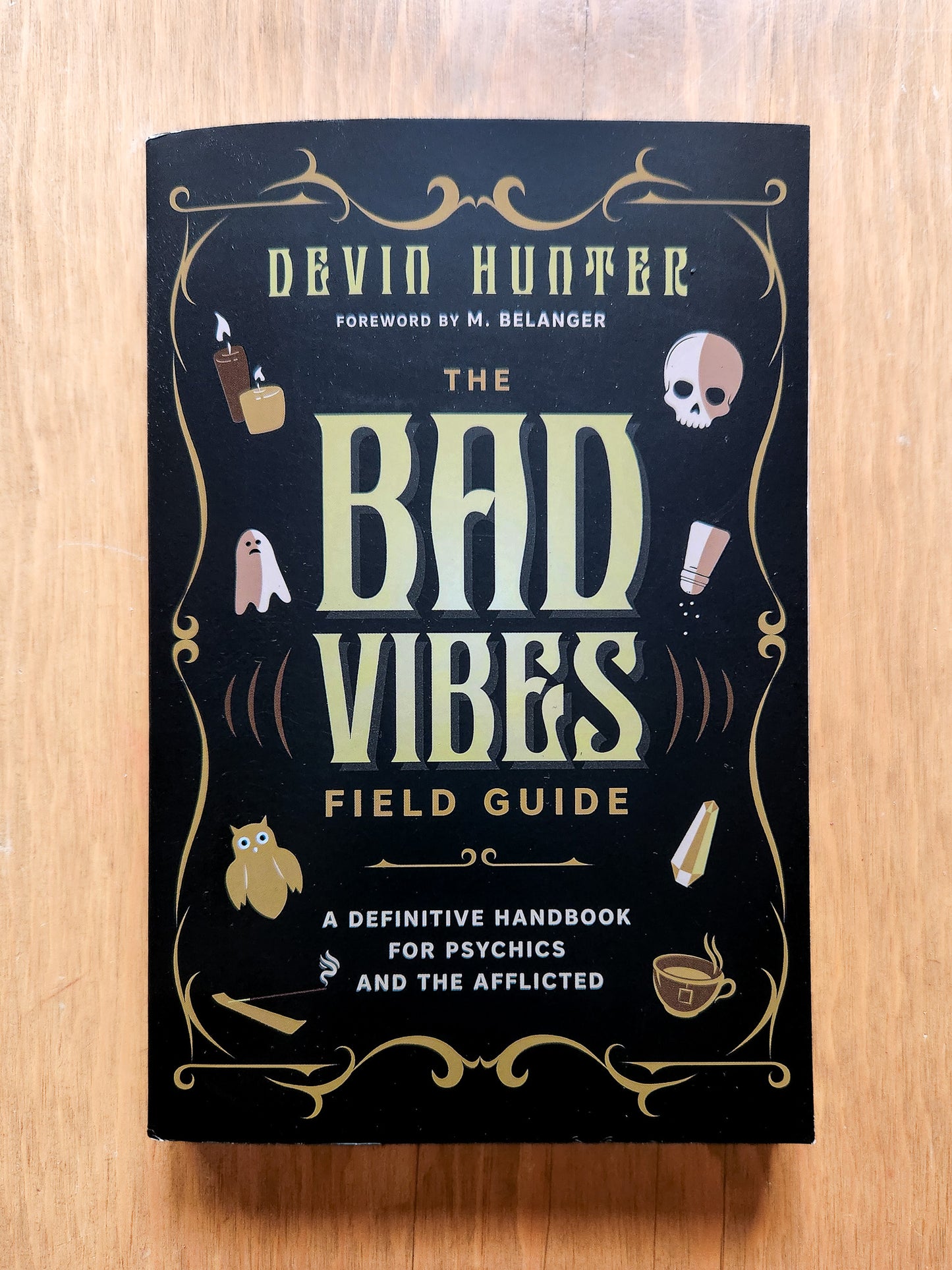 The Bad Vibes Field Guide by Devin Hunter