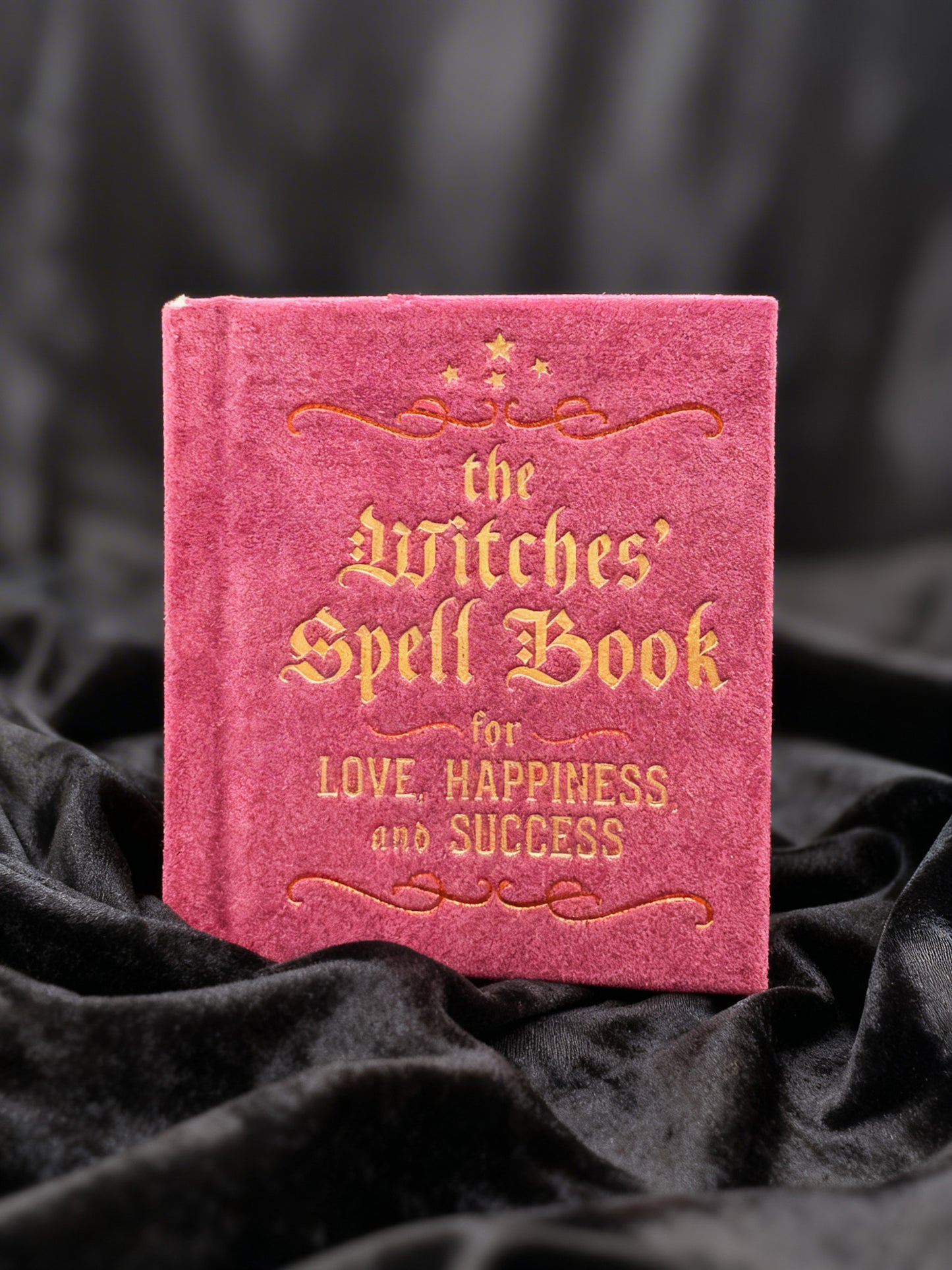 The Witches' Spell Book for Love Happiness and Success