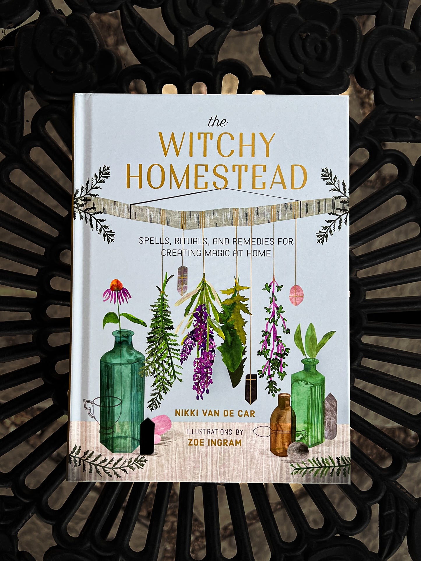 The Witchy Homestead by Nikki Van De Car