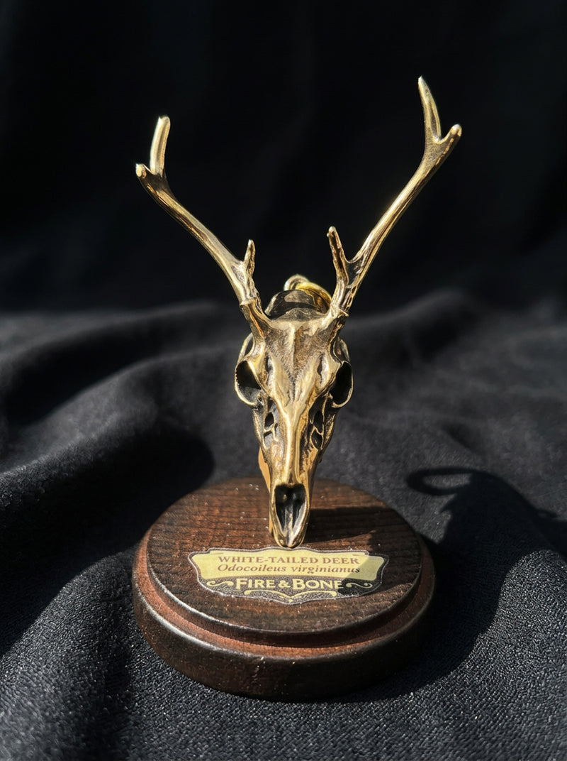 White-Tailed Deer Skull Necklace