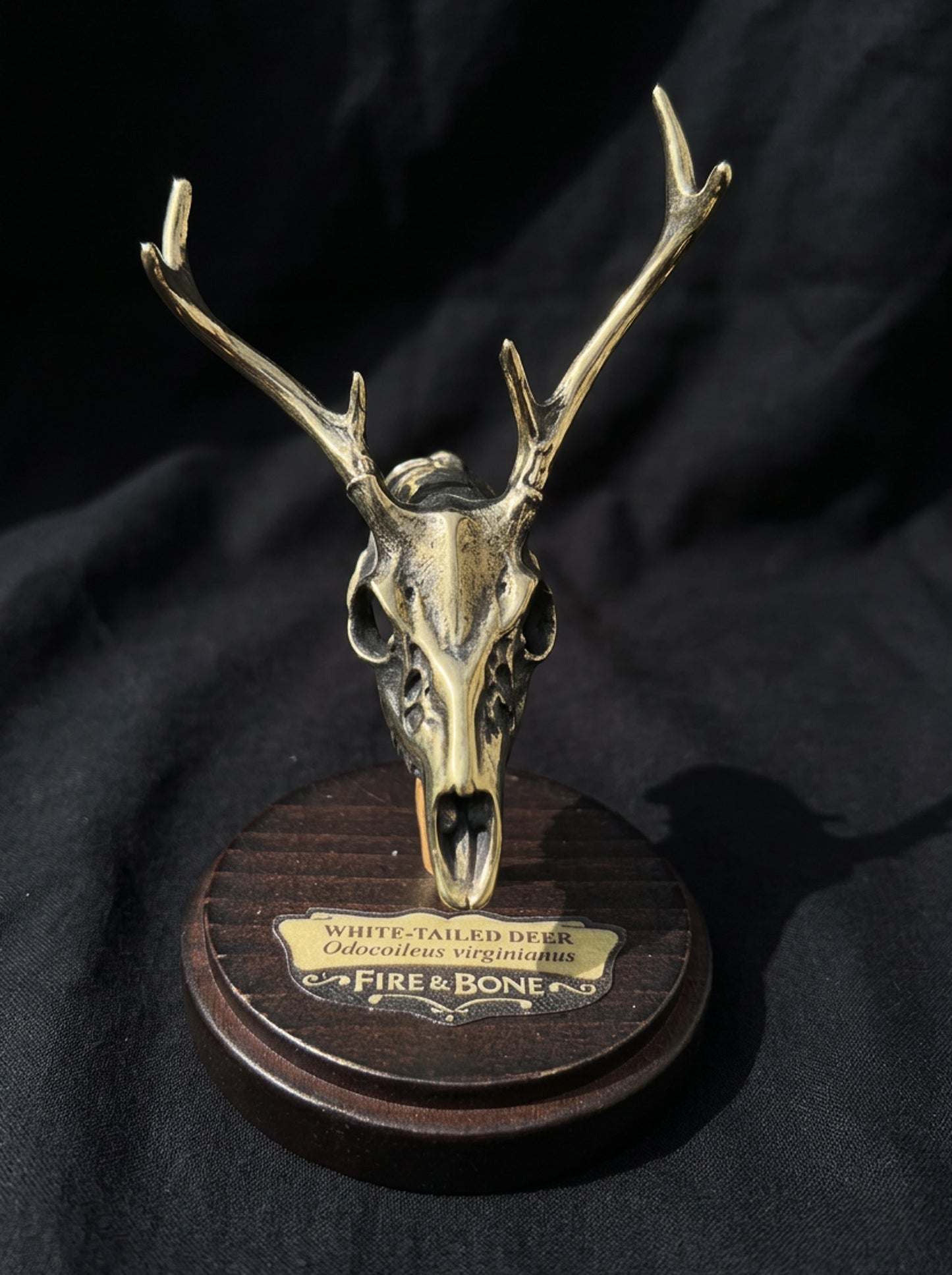 White-Tailed Deer Skull Necklace