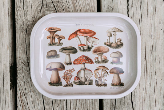 White Mushroom Curious Prints Tray