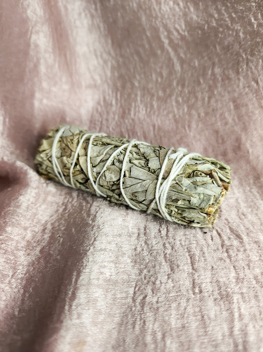 Medium Sage Bundle