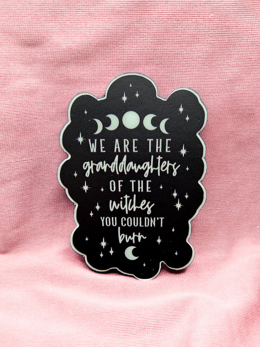 Witches You Couldn't Burn Black & White Sticker