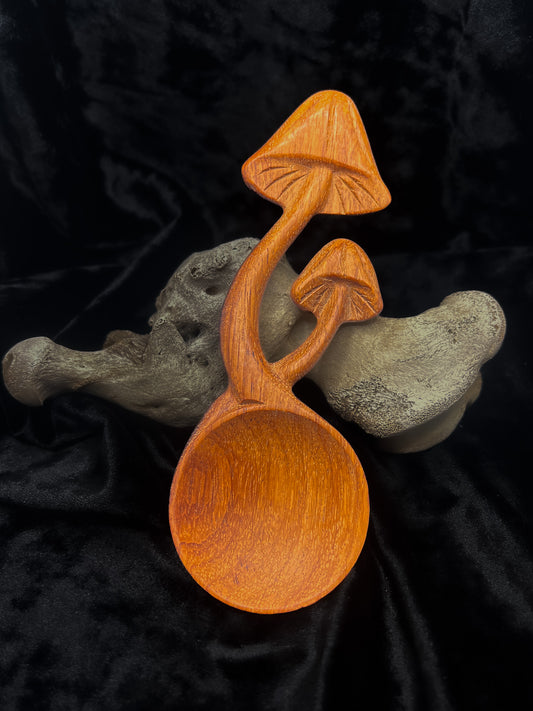 Wooden Spoon Mushroom