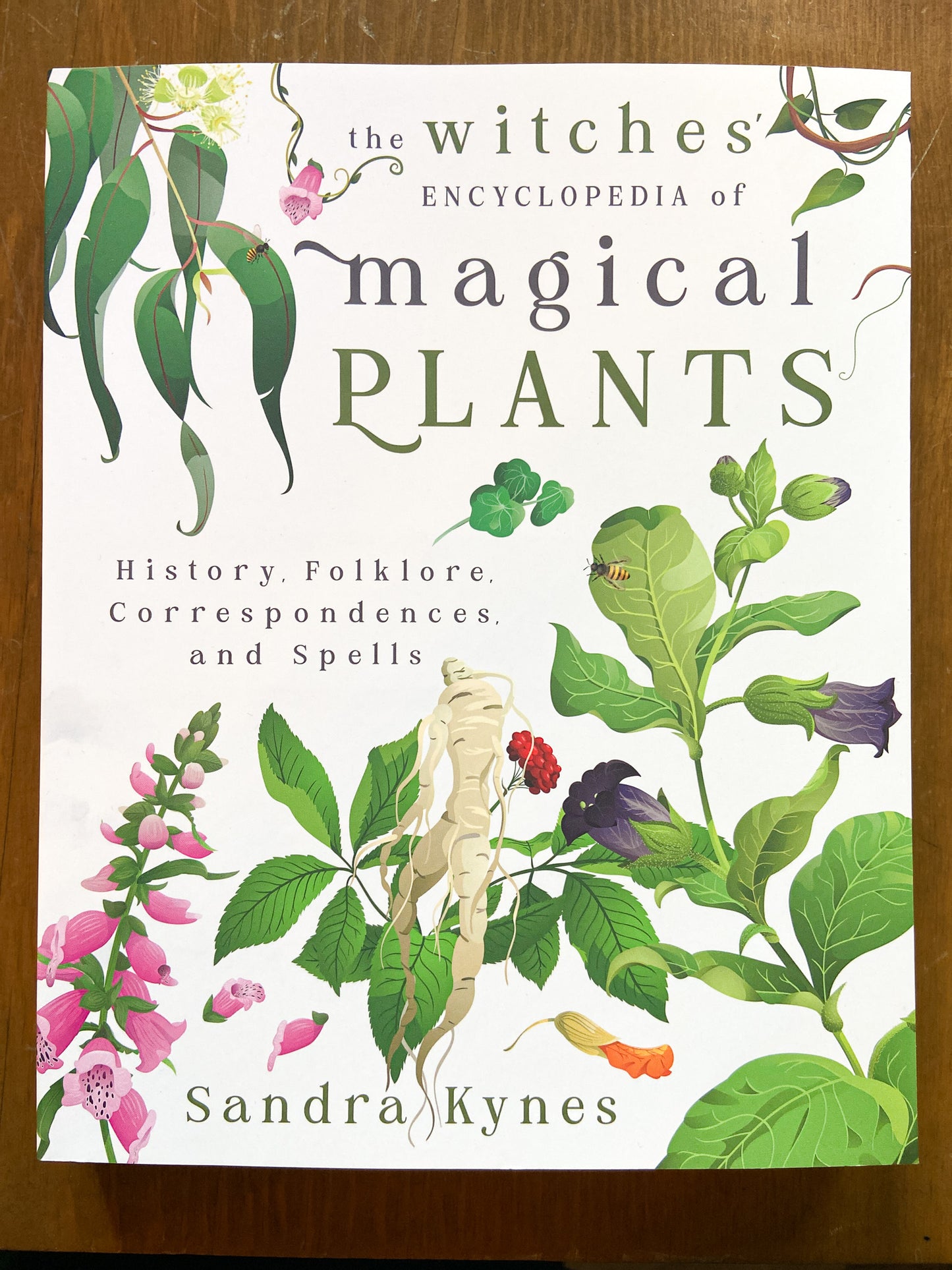 The Witches' Encyclopedia Of Magical Plants by sandra Kynes